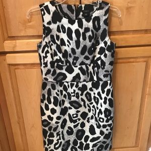 Ann Taylor shift dress size 2